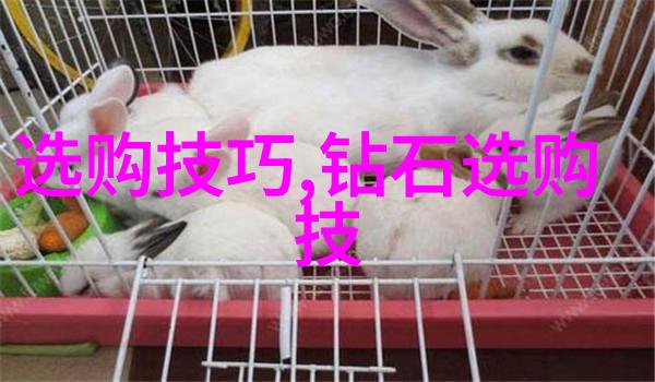 婚戒-爱的印记婚戒背后的故事与象征