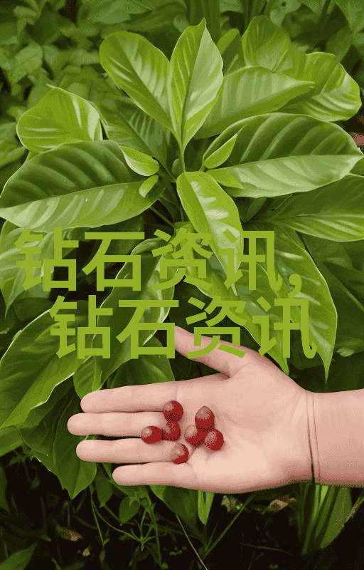 翡翠之水用水法则揭秘翡翠真伪