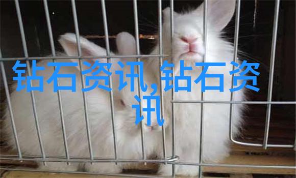 璀璨证辨中疆珠宝玉石鉴定之谜