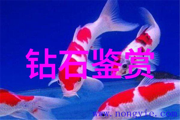 中华文化宝库探索中国传统知识的丰富与深度