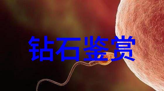 中国人的文化属性-中华文脉揭秘中国人独特的传统与价值观