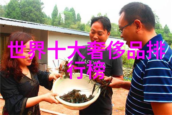翡翠冰种辨别艺术剖析绿色宝石的精髓