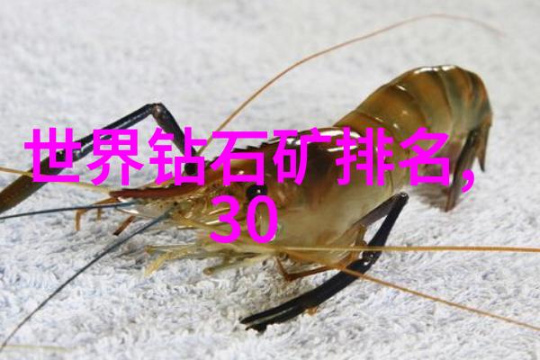 中国文化的多维度从传统到现代的演变与丰富性