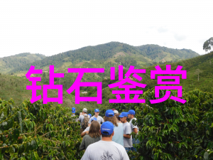 市政工程技术我是如何用智慧照明让夜晚的城市更温馨