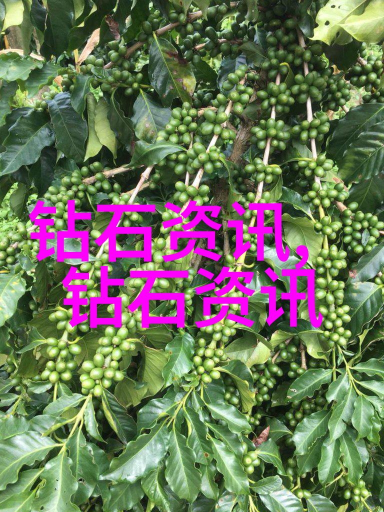 笔尖流出的故事500字六年级我是小小的文字猎人寻找梦想的第一篇章