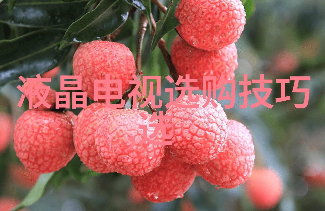 四人轮流乐趣无限