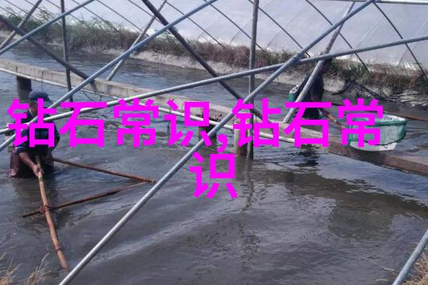 睡前故事我爸爸讲的那个关于星星的超级有趣故事