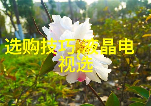 文化的丰富篇章传统与现代交响曲