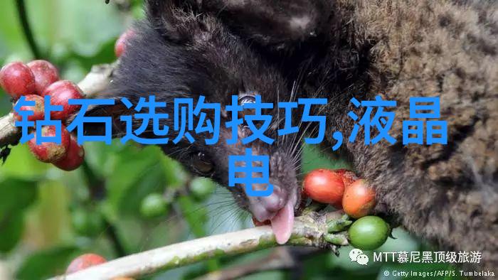 工艺设计中的创意与实用性平衡探讨