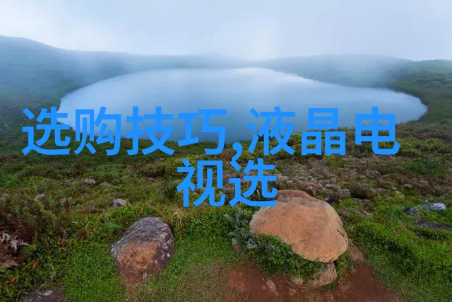 东方与西方文化差异探究从礼仪到价值观的对比
