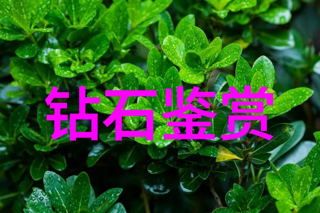 名字里的故事我的初恋与那串不显眼的字