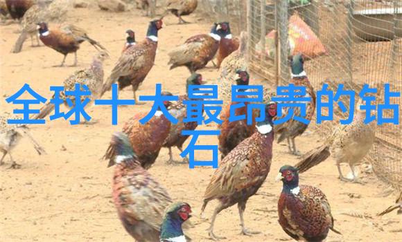 B族维生素的重要性与日常摄入方式