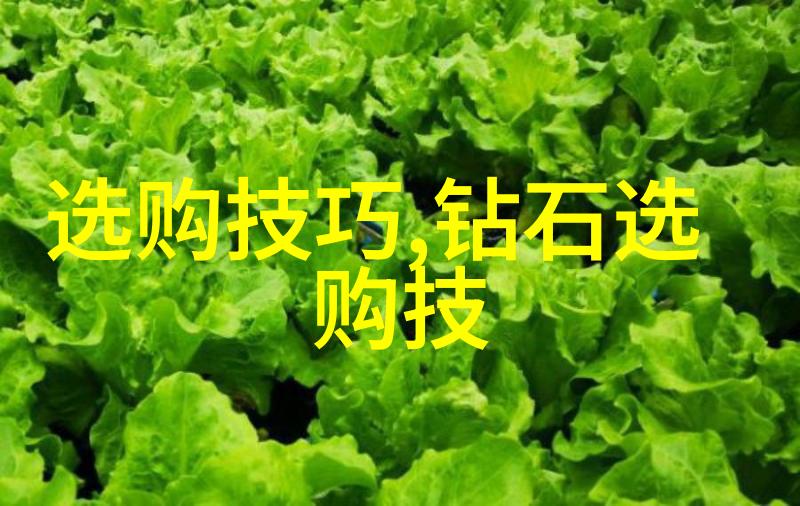 简述文化的概念和特征-探索传统与现代文化的内涵与表现形式