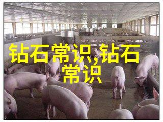宝石光我手里那颗闪耀的秘密宝石光的故事