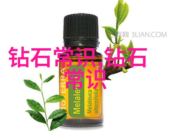 审计学专业我是怎样成为一名优秀的审计师的