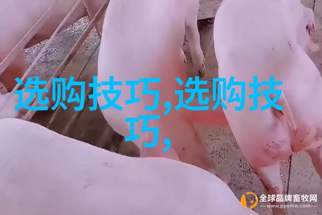 工艺的创造与应用工艺设计与制造原理