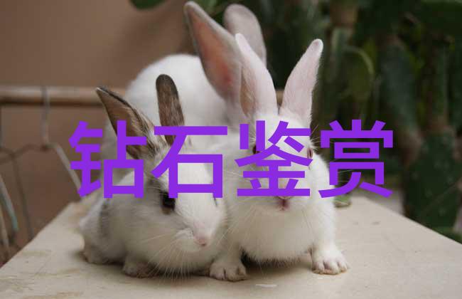 传承古韵的现代之光民间手工艺的复兴与创新