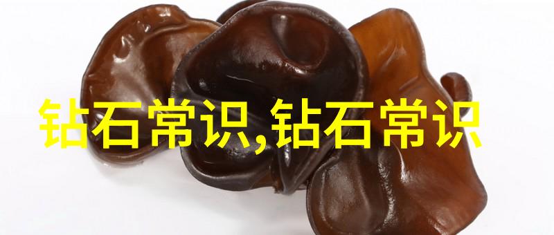 工艺路线优化与流程图解析一项系统研究
