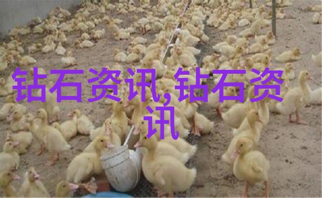 中国宝石鉴定专家解密玉璧秘密探索古代文化遗产的价值与意义
