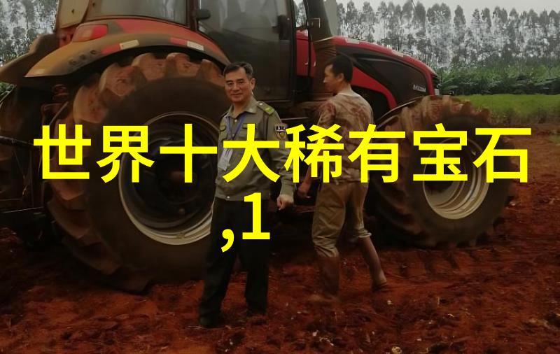 中国玉石资源评估与市场分析从古至今的宝石之冠