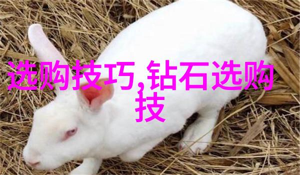 在全球化背景下工程项目如何跨文化协作