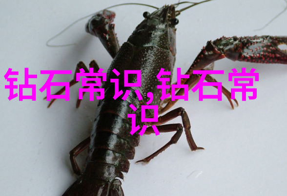 宝石加工我是如何从一颗普通的钻石变成超级闪亮的