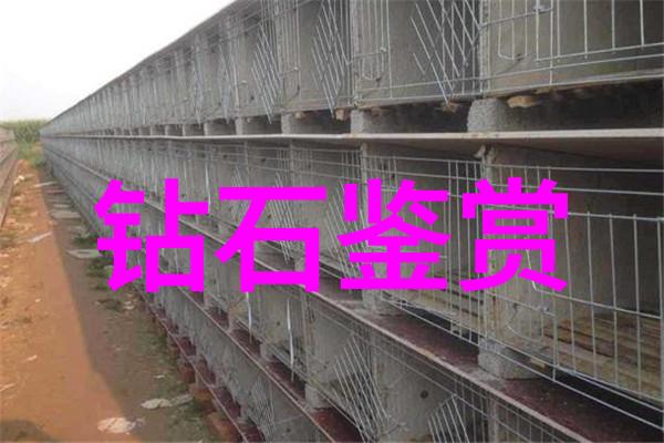 璀璨夺目探索宝石光的魔力与魅力