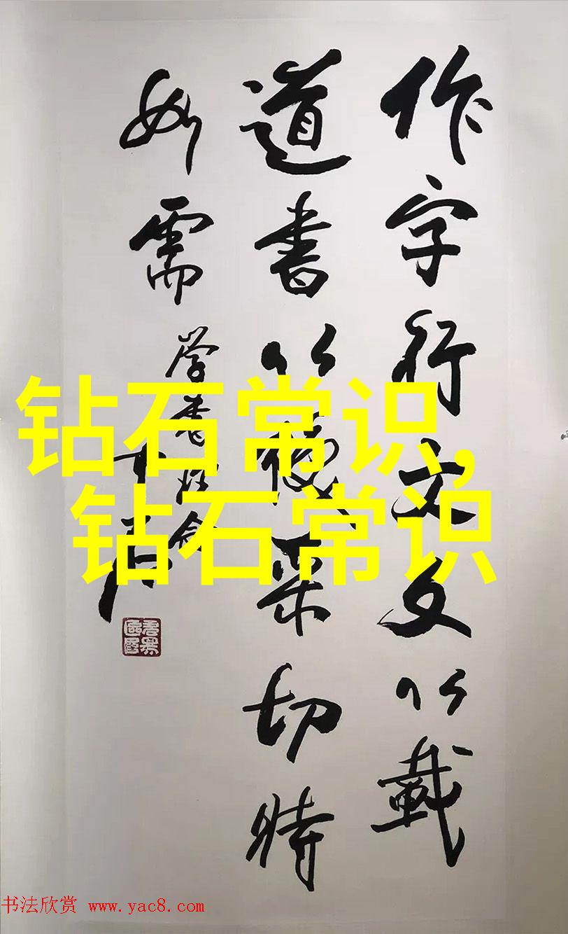 宝石猎人的秘密世界追逐光彩的冒险之旅