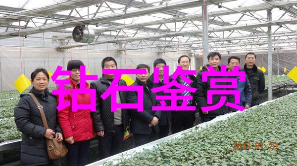 宝玉石鉴赏全解从光泽到色彩揭秘璀璨宝石的艺术与价值