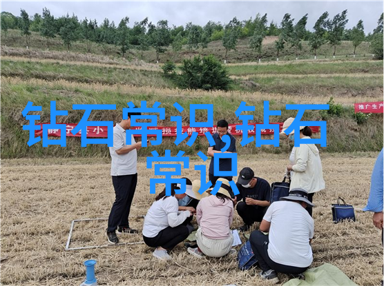 娱乐-胡玮琪流光似水的演绎者与时尚界的魅力使者
