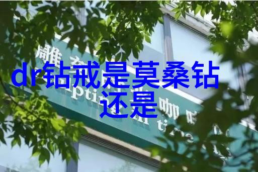播音与主持艺术声音的魅力与现场的魔力