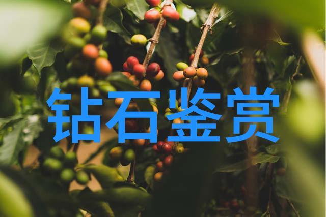 法律纷争成都调查事务所告诉你何时该聘请专业人士