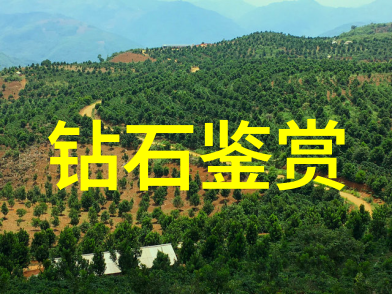 玉镯古韵情深的珍品