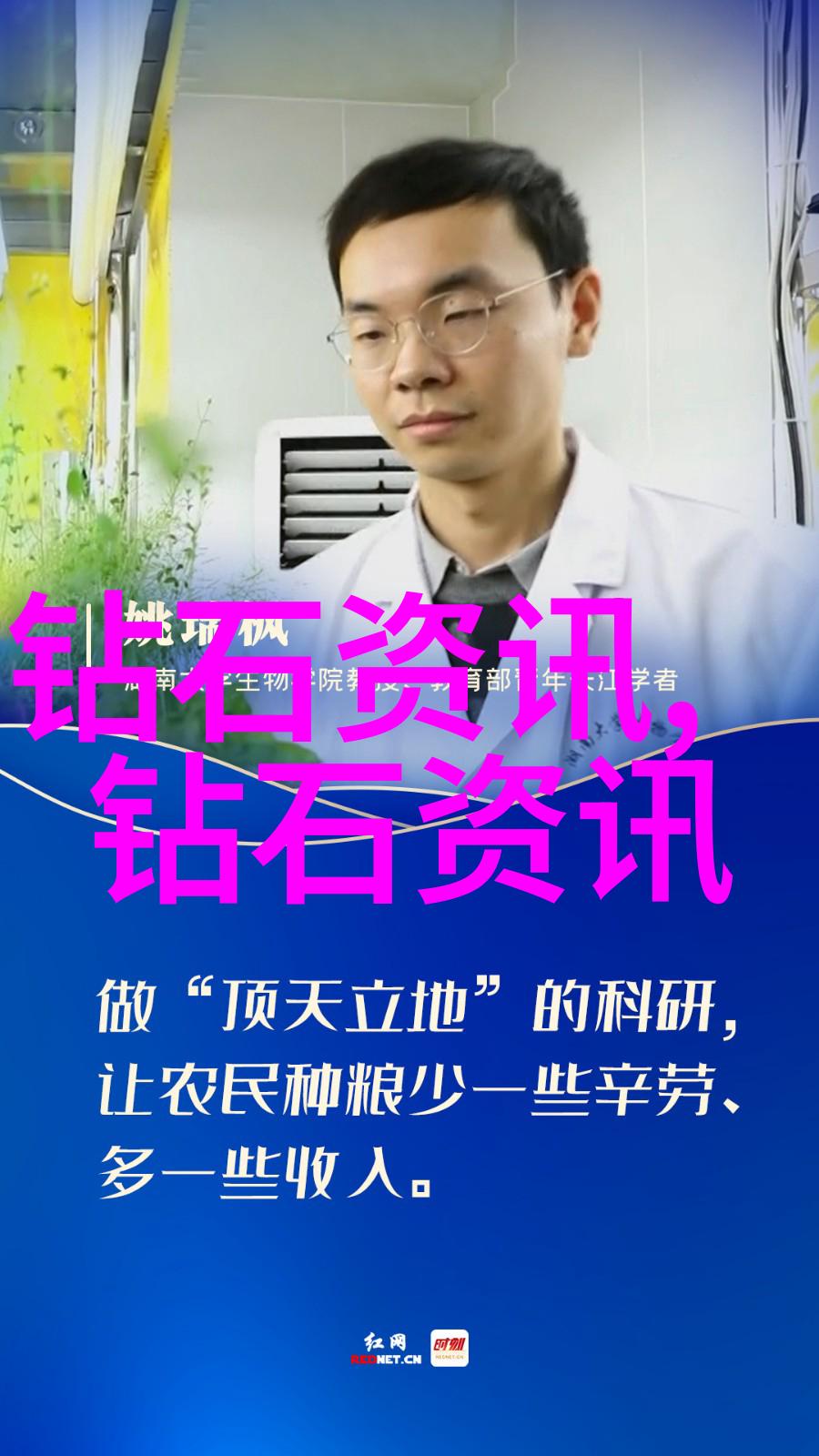 品鉴和鉴赏 - 尝尽世间美味从茶叶到艺术品的欣赏之旅