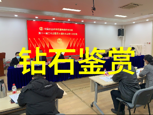 中国步枪的辉煌自主研发的标志性武器