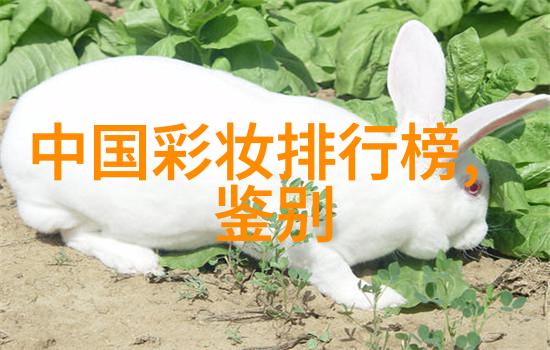 幻想之城密斯凡德罗的神秘篇章