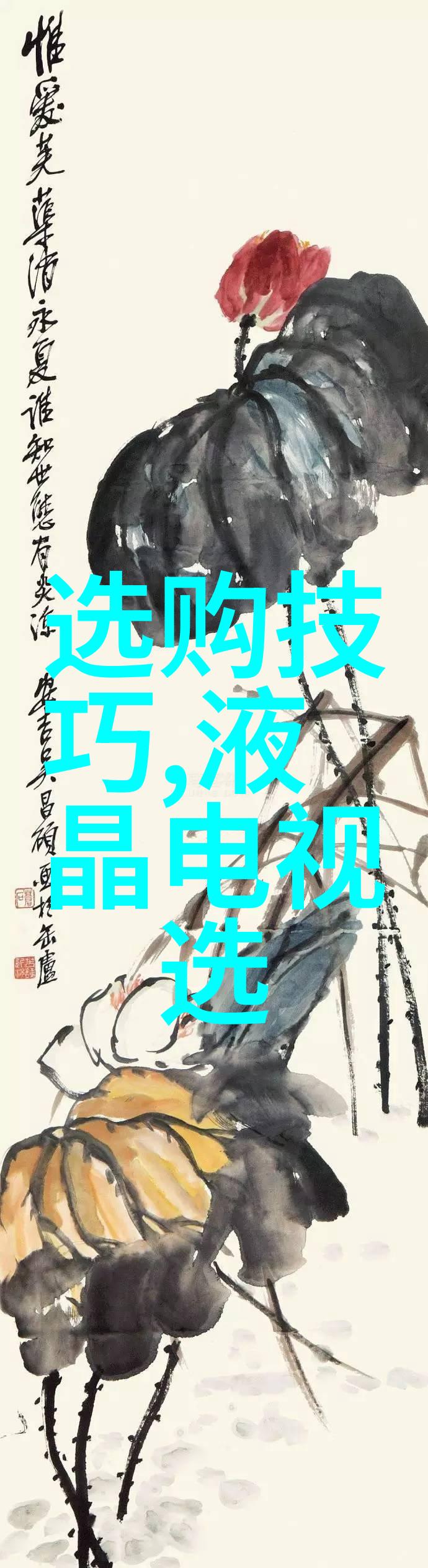 翡翠真假鉴定揭秘天然翡翠的秘密