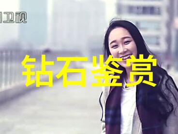 探索中华民族的技艺之美108种手艺的传承与创新