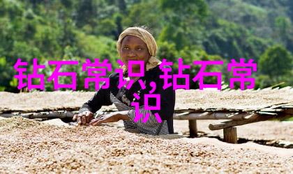 宝石及材料工艺学精雕细琢的艺术与科学探究