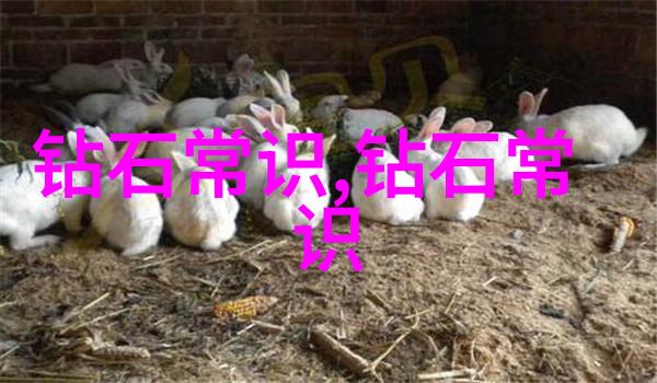 工艺流程优化高效的生产过程管理