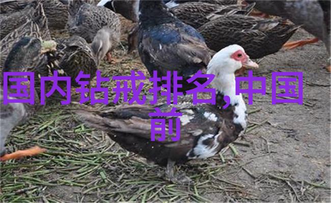技术与年龄-数控工人之谜为什么年轻才是精密制造的关键
