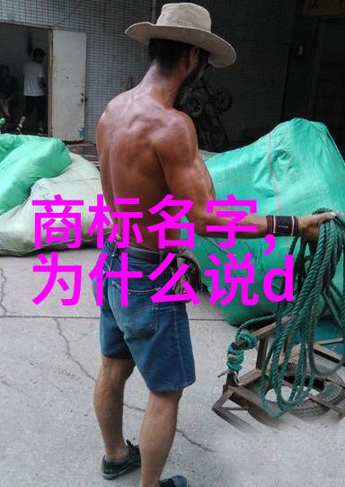 审计学专业-深度解析审计学专业如何塑造未来会计界的新领军