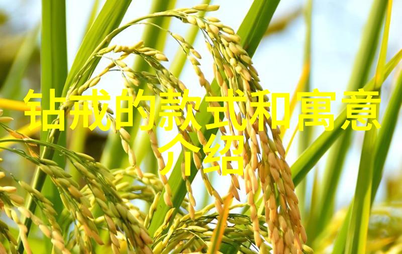 雨幕下的幻想交响