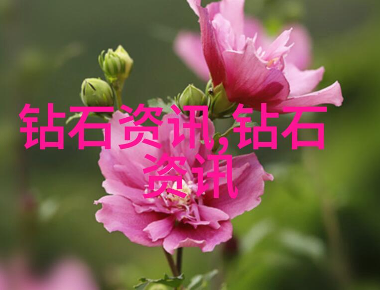 工程管理专业我是如何通过实战经验成为一名优秀的工程经理的