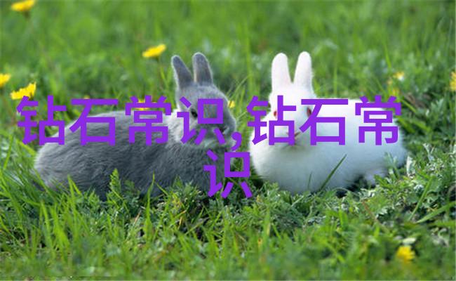 工艺与技术分水嶺与发展的双刃剑