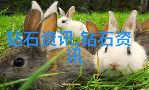 为何在青少年时期培养廉洁文化至关重要