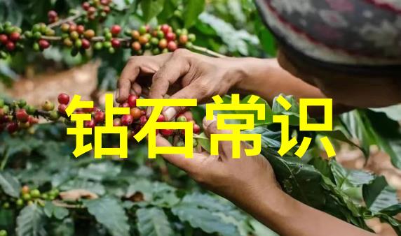 玉石之谜东陵中的宝藏与奇珍