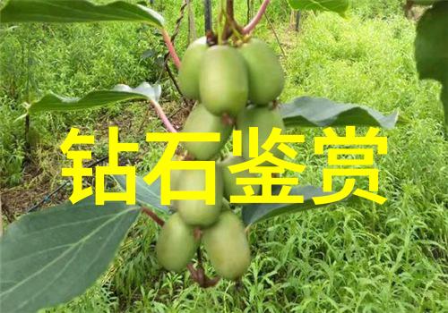 工艺美术专业难学吗我来告诉你实话