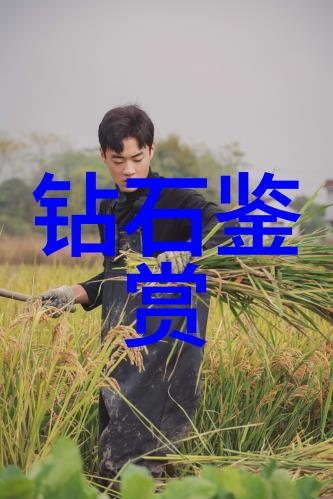 探索中华大地人民日报75个中国文化常识解析