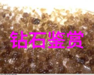 果冻传媒播放观看免费 - 甜蜜的视觉盛宴揭秘果冻传媒如何提供无缝的免费观看体验